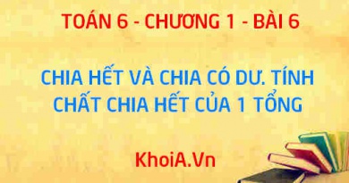 Chia hết và chia có dư. Tính chất chia hết của một tổng - Lý thuyết Toán 6 bài 6